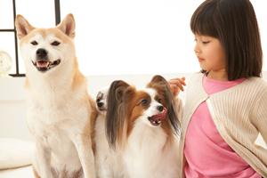 30分から利用できる池袋の猫カフェです