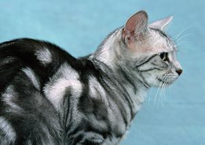 横浜で印刷会社を活用するケースが増える