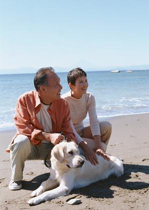 ペットの健康管理に役立つ情報満載！平塚の動物病院選びのポイント