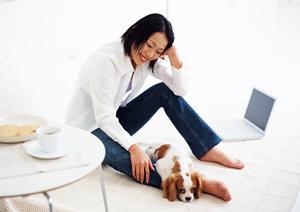 京都市で評判の良い動物病院を探す