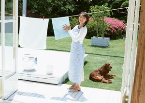 信頼と実績のアサンテによるシロアリ駆除サービス ? 東証プライム上場の安心サポート