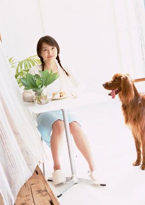 より良いドッグフードを選ぶコツ